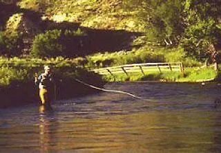 Inn The Ranch At