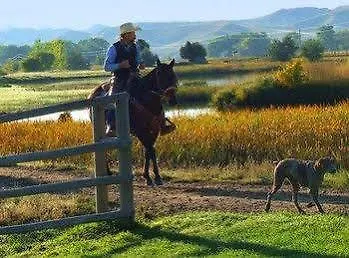 Inn The Ranch At