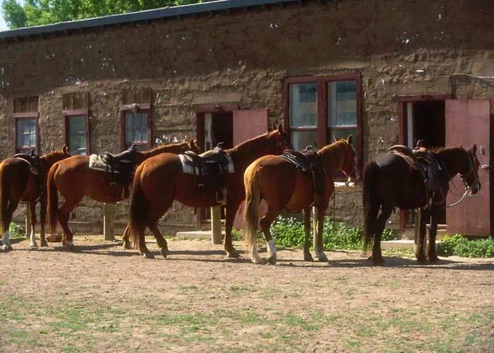 The Ranch At 3* Ucross
